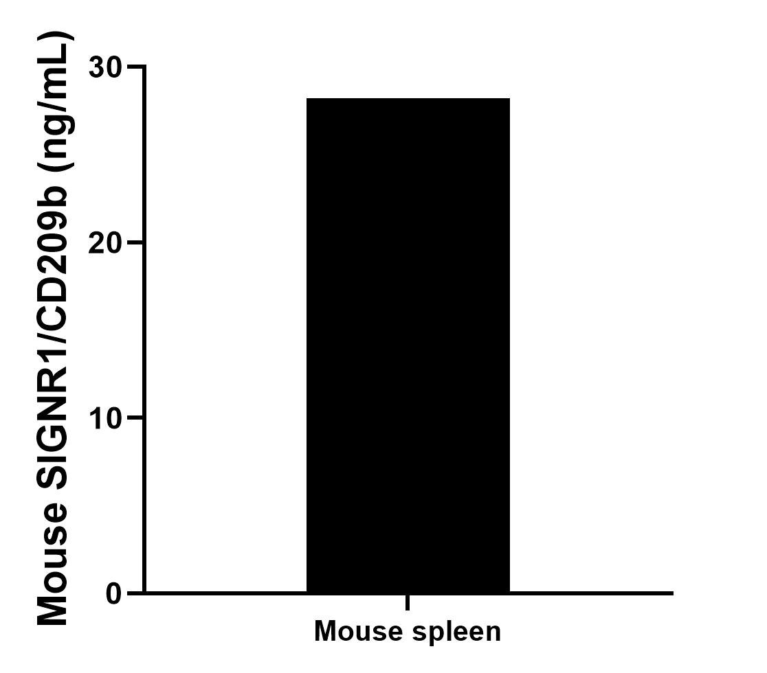 Sample test of MP01231-3